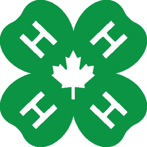 4h